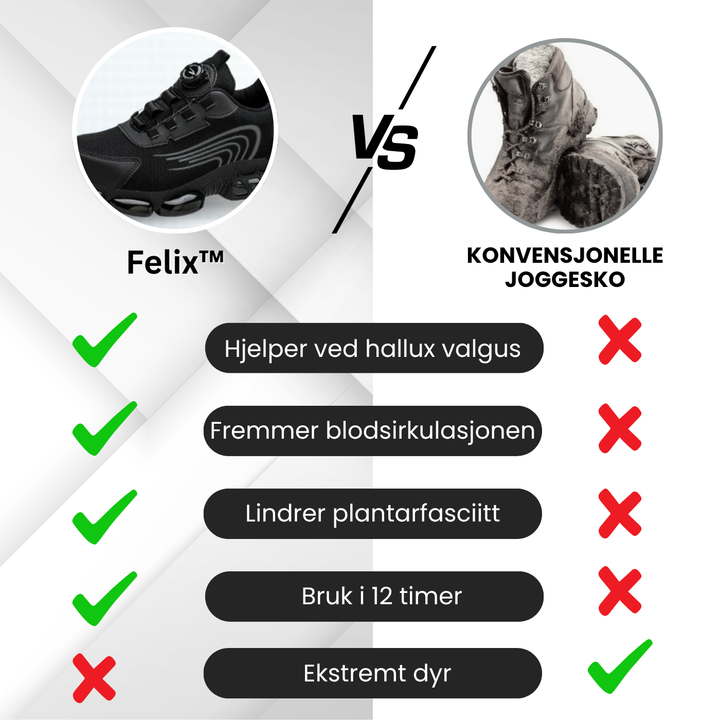Felix™ – Ståltå sikkerhetssko med Kevlar-beskyttelse