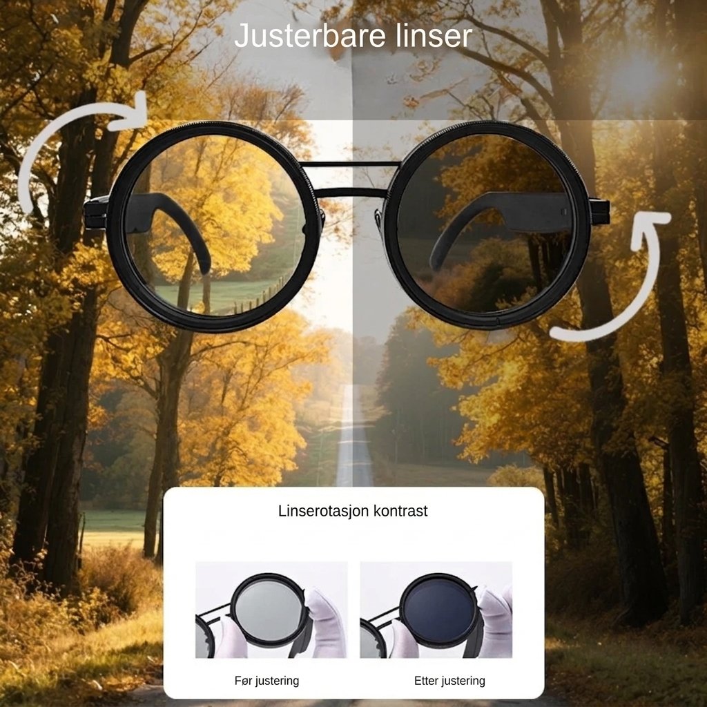 NordVision™ – Runde Retro Steampunk Solbriller